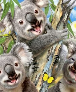 Imports Dragon Prime 3D: Howard Robinson Koala Selfie Puzzle With Plush - 48 Pieces -Toys R US 645A184B 3