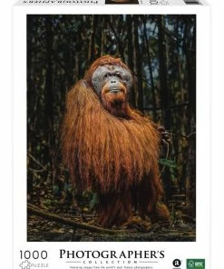 Merchant Amassador Photographers Collection - 1000 Pc. Puzzle - Hagg #11 -Toys R US F409AAE8 3